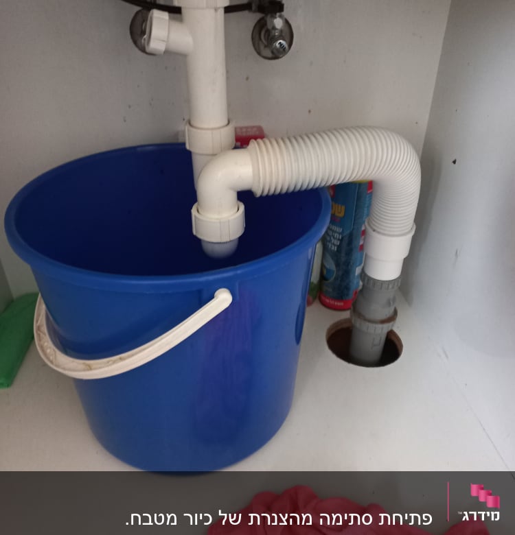 דלי כחול מתחת לצנרת כיור עם צינור גמיש